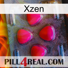 Xzen 13